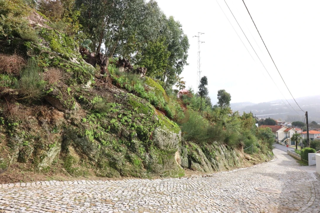 Terreno Agricola ou Rústico para Venda em Tagilde e Vizela (São Paio) Foto 2