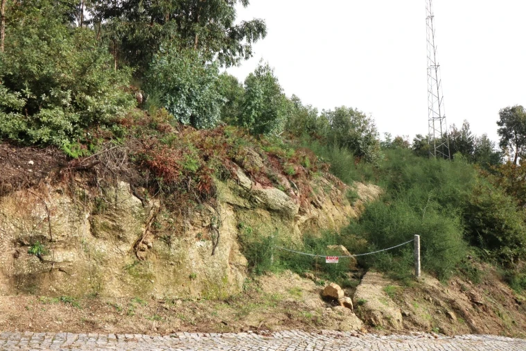 Terreno Agricola ou Rústico para Venda em Tagilde e Vizela (São Paio) Foto 3