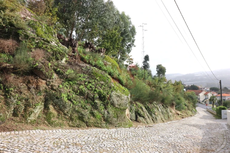 Terreno Agricola ou Rústico para Venda em Tagilde e Vizela (São Paio) Foto 2