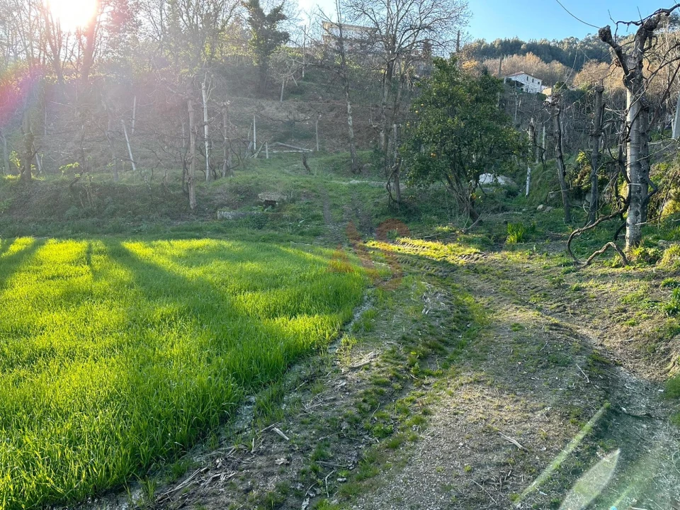 Moradia T2 para Venda em Tabuadelo e São Faustino Foto 14