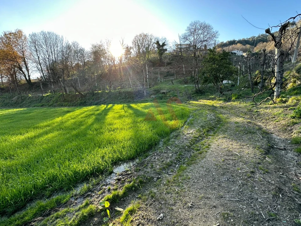 Moradia T2 para Venda em Tabuadelo e São Faustino Foto 16