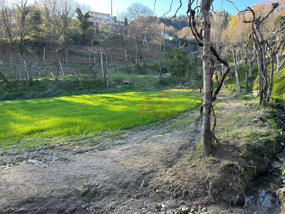 Moradia T2 para Venda em Tabuadelo e São Faustino Foto 11