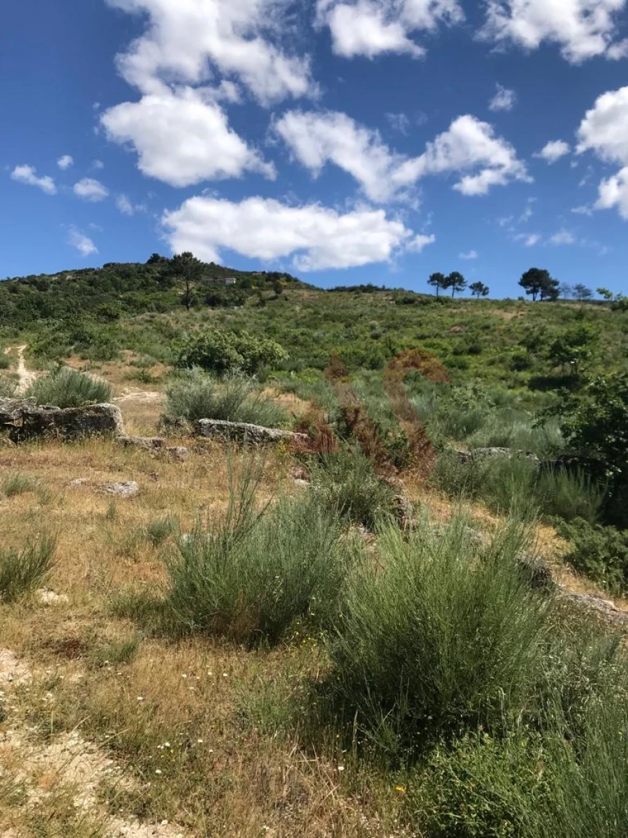 Terreno para Venda em Soalhães Foto 7
