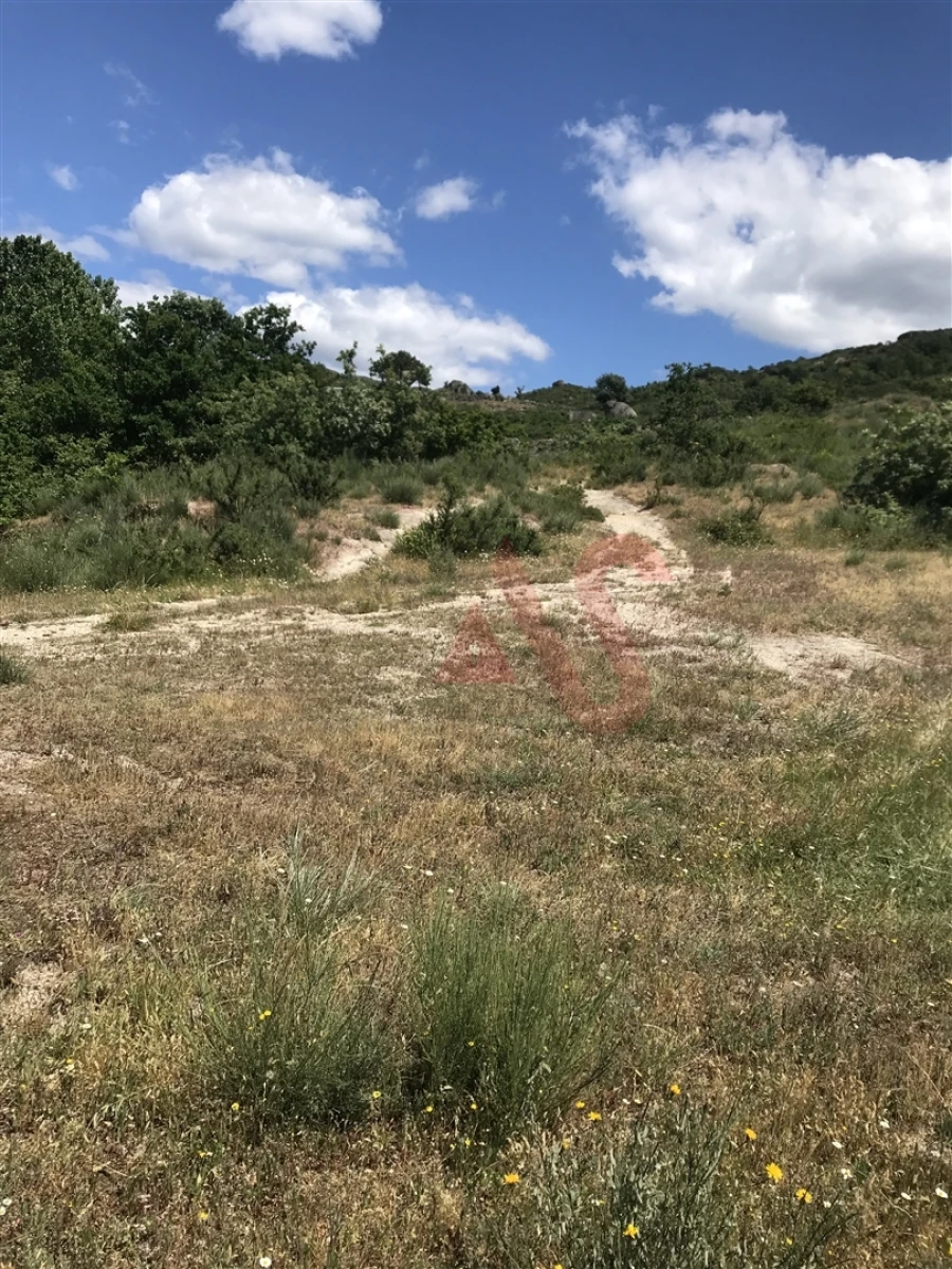 Terreno para Venda em Soalhães Foto 5