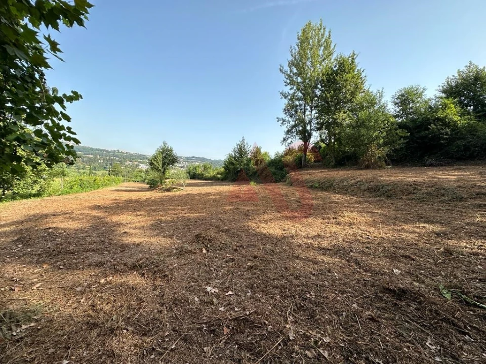 Terreno Agricola ou Rústico para Venda em Vila Fria e Vizela (São Jorge) Foto 3