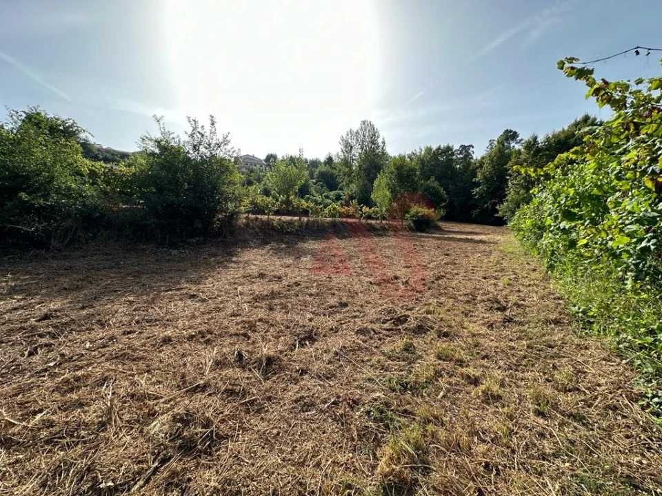 Terreno Agricola ou Rústico para Venda em Vila Fria e Vizela (São Jorge) Foto 8