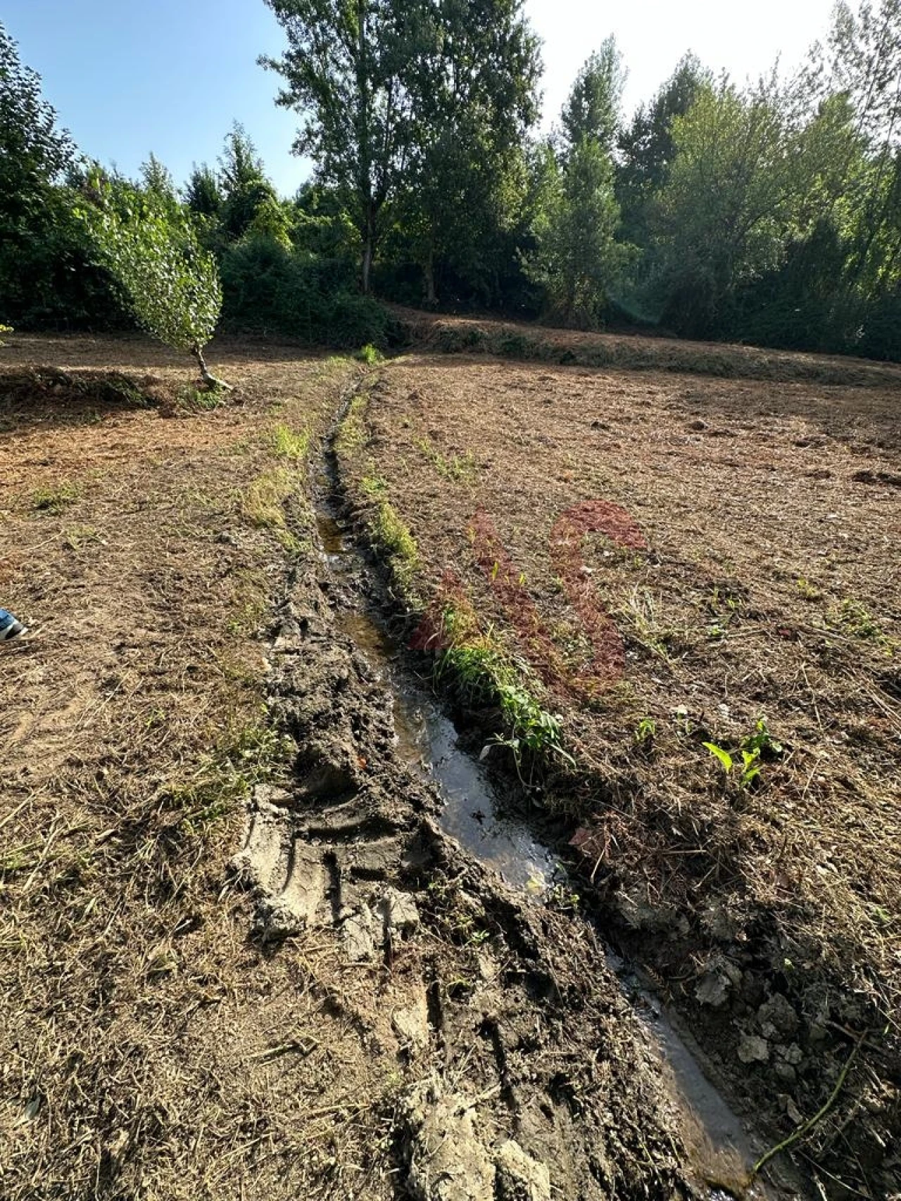 Terreno Agricola ou Rústico para Venda em Vila Fria e Vizela (São Jorge) Foto 9