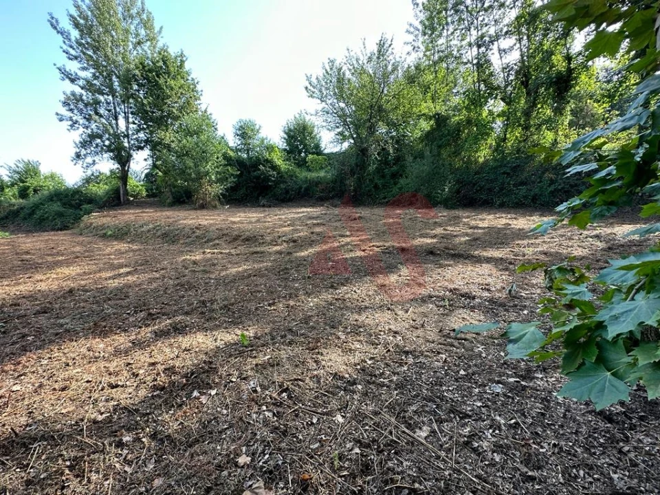 Terreno Agricola ou Rústico para Venda em Vila Fria e Vizela (São Jorge) Foto 4