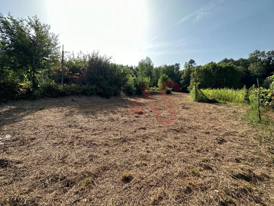 Terreno Agricola ou Rústico para Venda em Vila Fria e Vizela (São Jorge) Foto 6