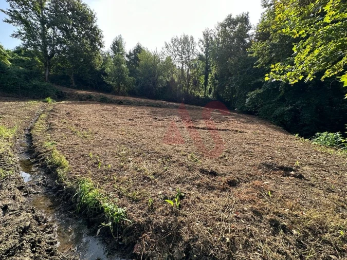 Terreno Agricola ou Rústico para Venda em Vila Fria e Vizela (São Jorge) Foto 5