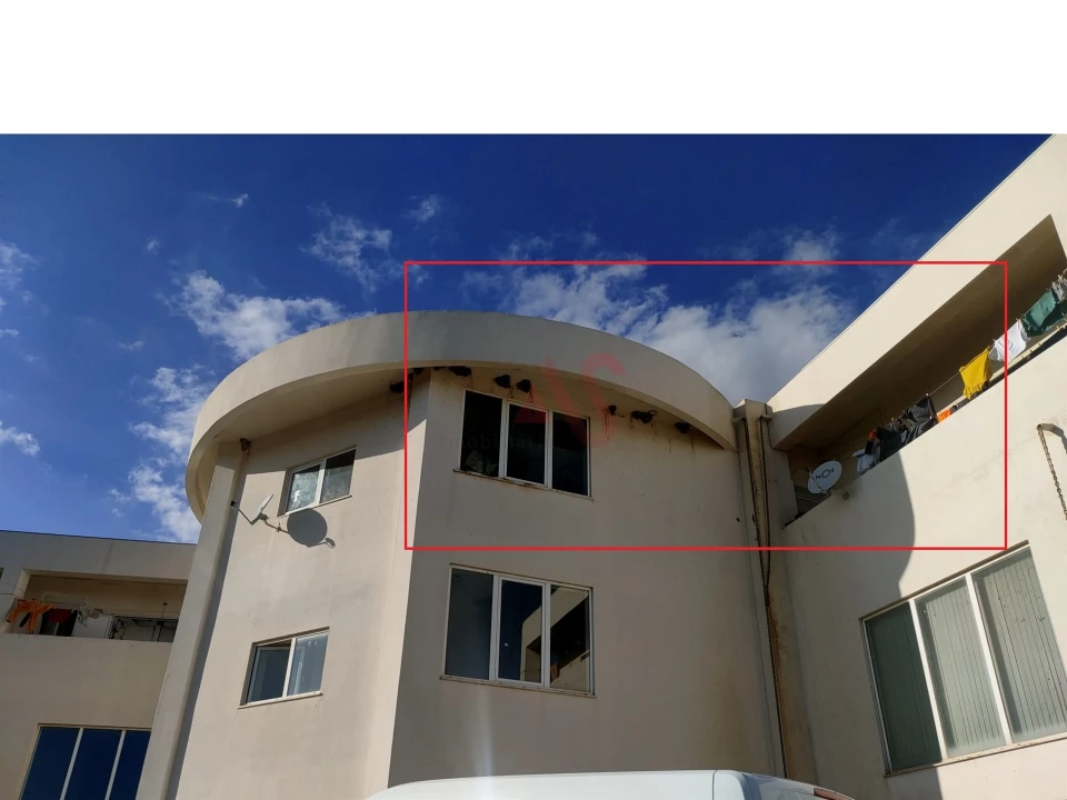 Loja para Venda em Ferreiras Foto 4