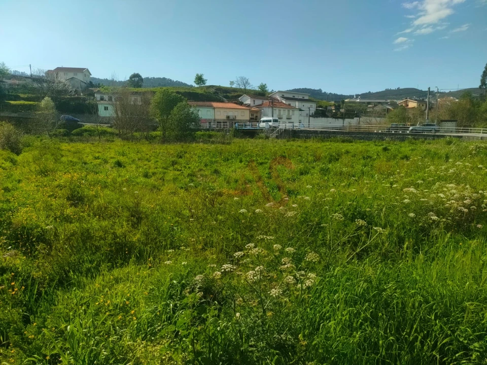 Terreno Agricola ou Rústico para Venda em Nevogilde Foto 2