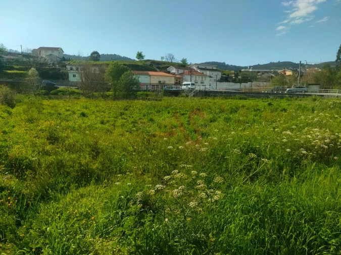 Terreno Agricola ou Rústico para Venda em Nevogilde Foto 2