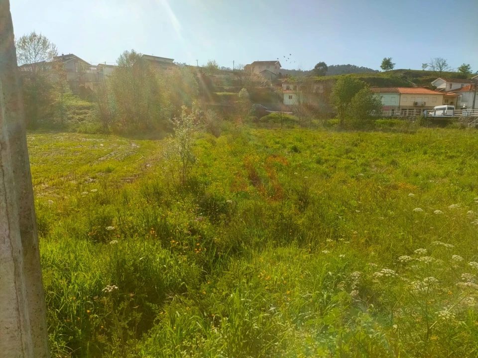 Terreno Agricola ou Rústico para Venda em Nevogilde Foto 3