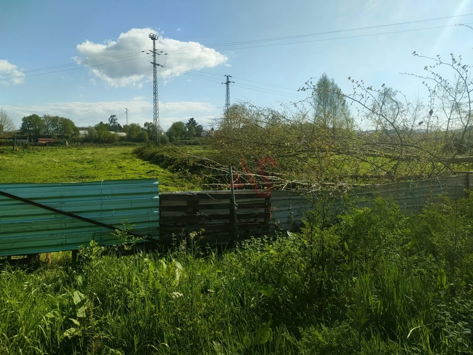 Terreno Agricola ou Rústico para Venda em Nevogilde Foto 6