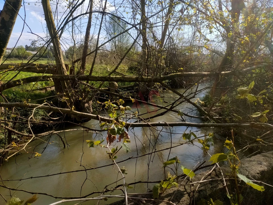 Terreno Agricola ou Rústico para Venda em Nevogilde Foto 5