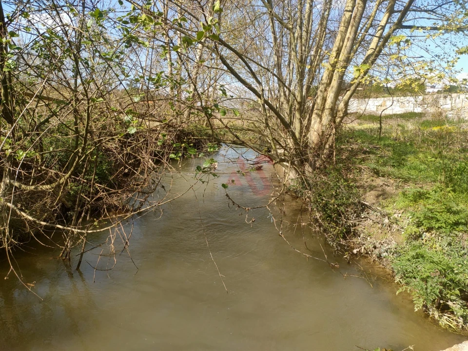 Terreno Agricola ou Rústico para Venda em Nevogilde Foto 9