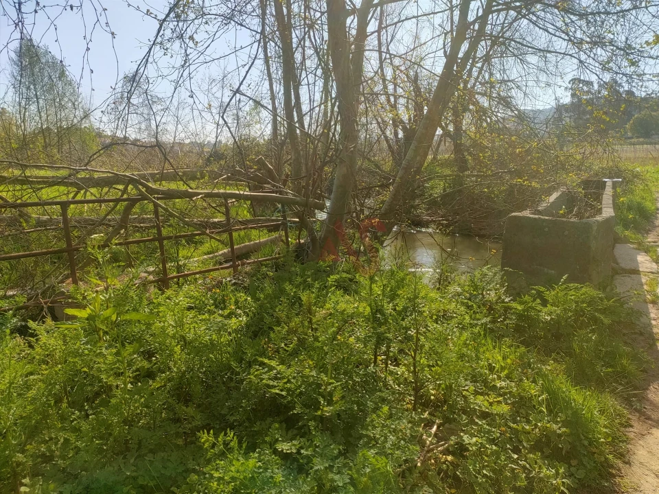 Terreno Agricola ou Rústico para Venda em Nevogilde Foto 2