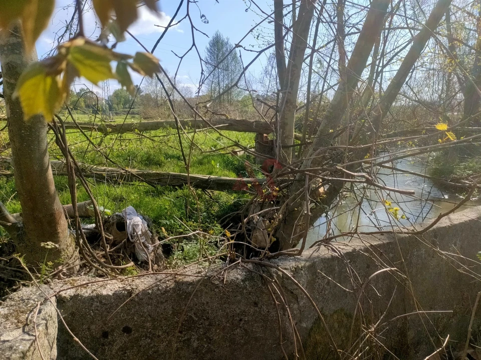 Terreno Agricola ou Rústico para Venda em Nevogilde Foto 11