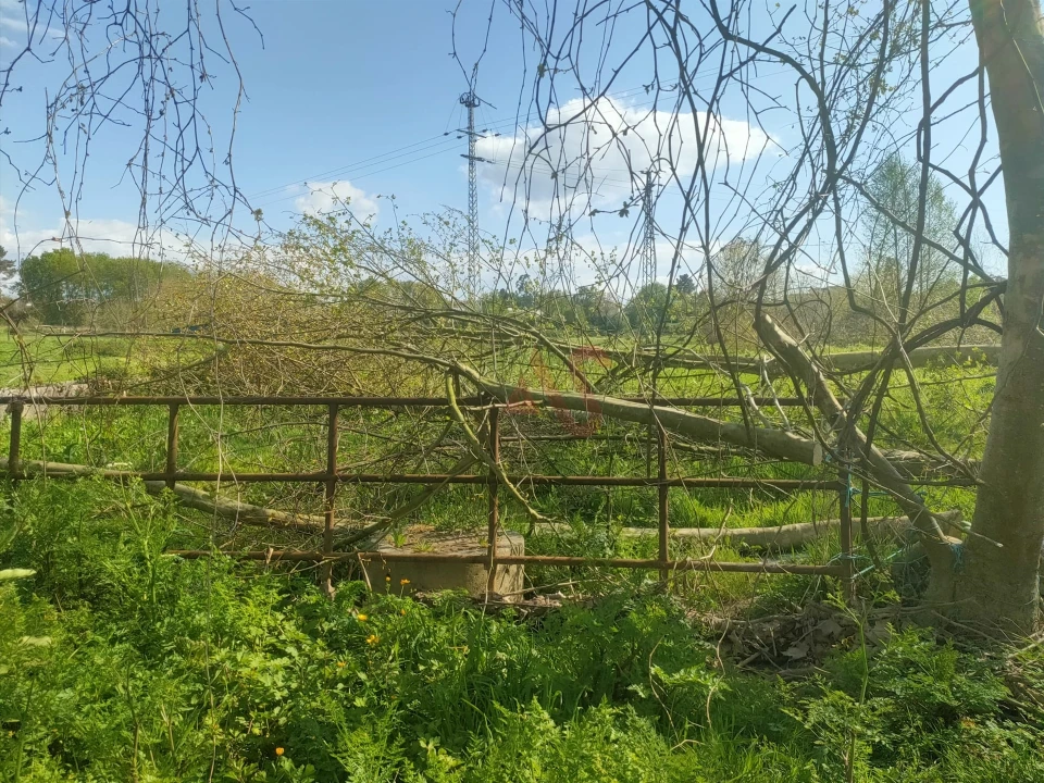 Terreno Agricola ou Rústico para Venda em Nevogilde Foto 8