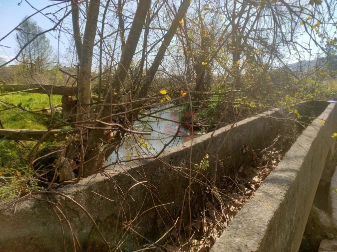 Terreno Agricola ou Rústico para Venda em Nevogilde Foto 10