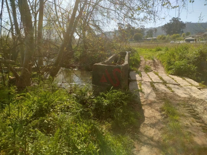 Terreno Agricola ou Rústico para Venda em Nevogilde Foto 3