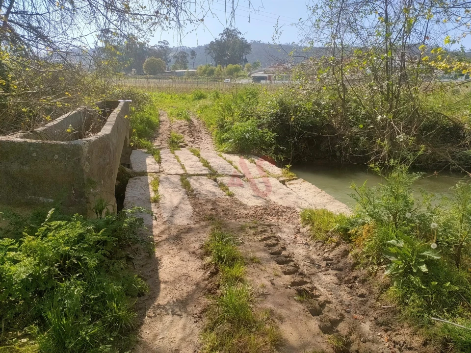 Terreno Agricola ou Rústico para Venda em Nevogilde Foto 4