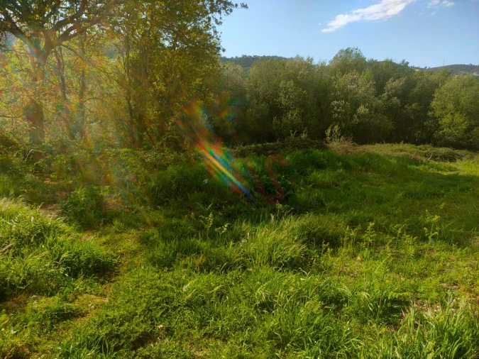 Terreno Agricola ou Rústico para Venda em Nevogilde Foto 7