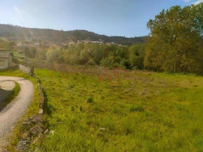Terreno Agricola ou Rústico para Venda em Nevogilde Foto 5