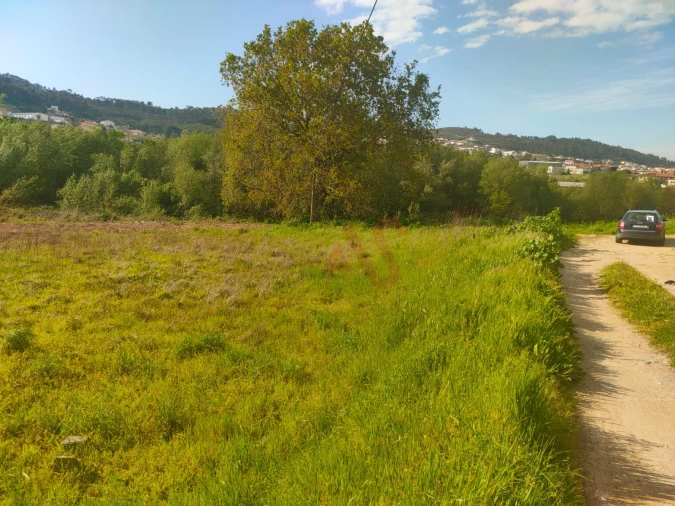 Terreno Agricola ou Rústico para Venda em Nevogilde Foto 6