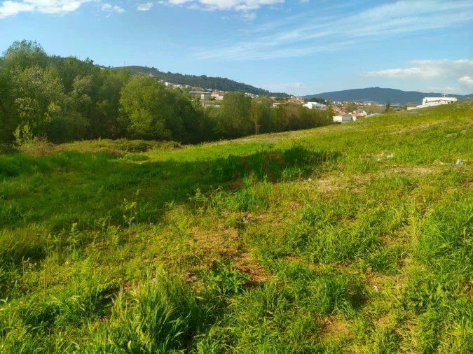 Terreno Agricola ou Rústico para Venda em Nevogilde Foto 3
