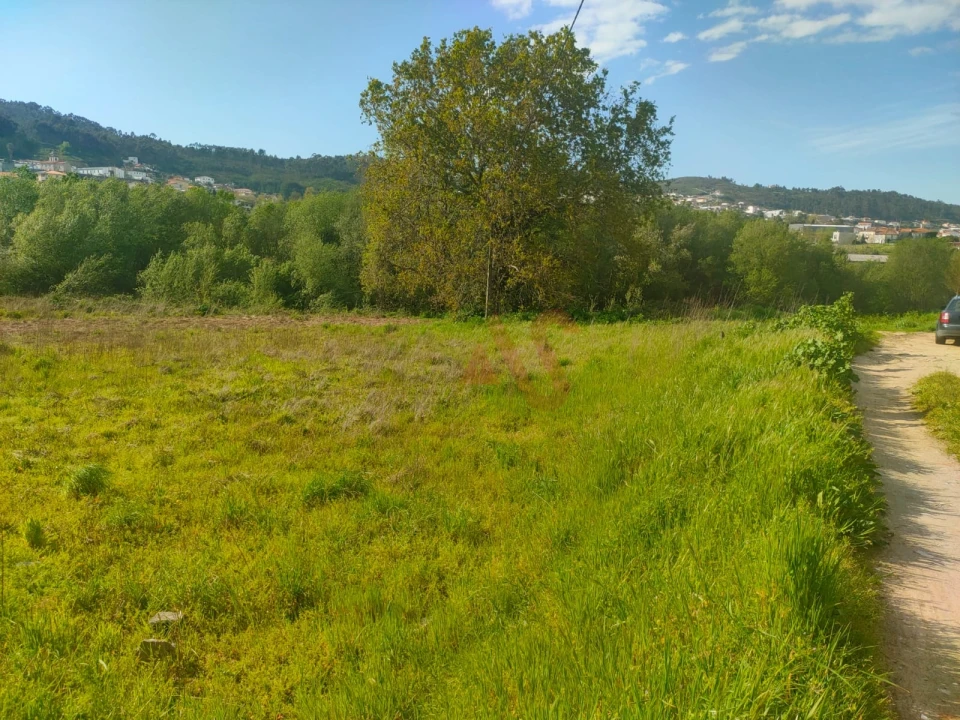 Terreno Agricola ou Rústico para Venda em Nevogilde Foto 4