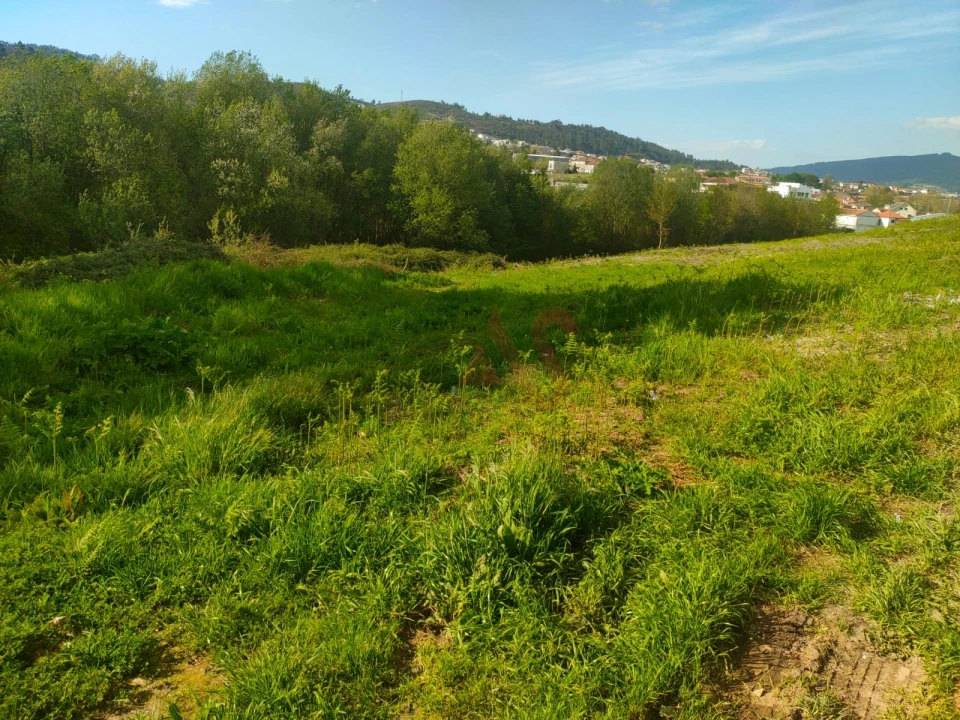 Terreno Agricola ou Rústico para Venda em Nevogilde Foto 2