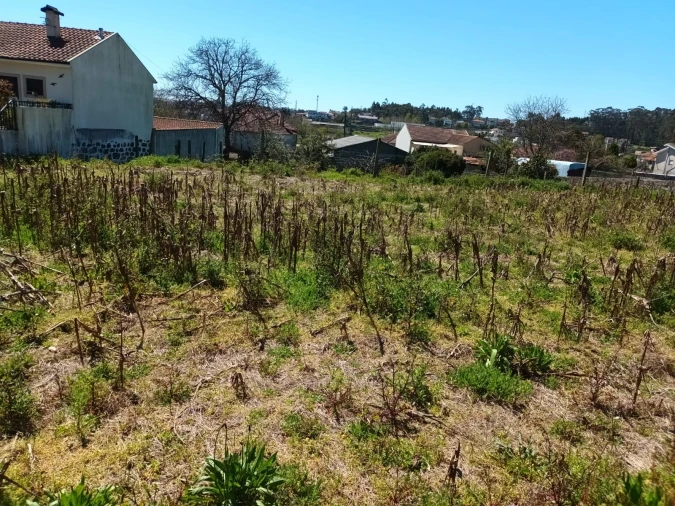 Terreno para Venda em Seroa Foto 4