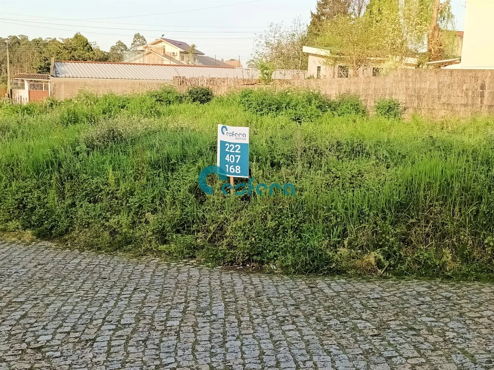 Terreno para Venda em Argoncilhe Foto 6