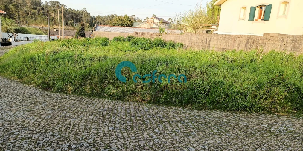 Terreno para Venda em Argoncilhe Foto 4
