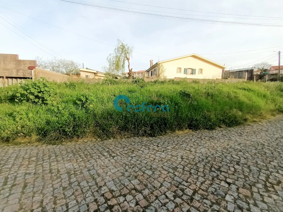 Terreno para Venda em Argoncilhe Foto 3