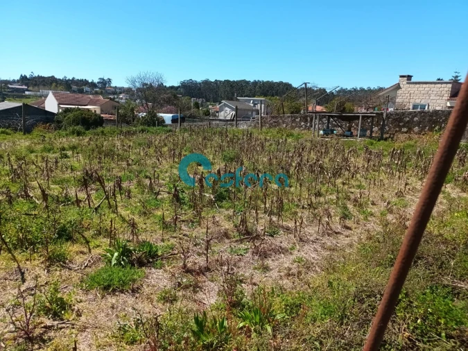 Terreno para Venda em Seroa Foto 4