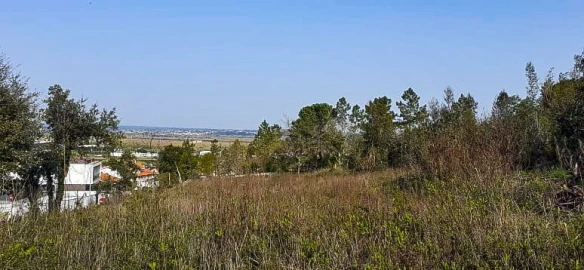 Terreno para Venda em Taveiro, Ameal e Arzila