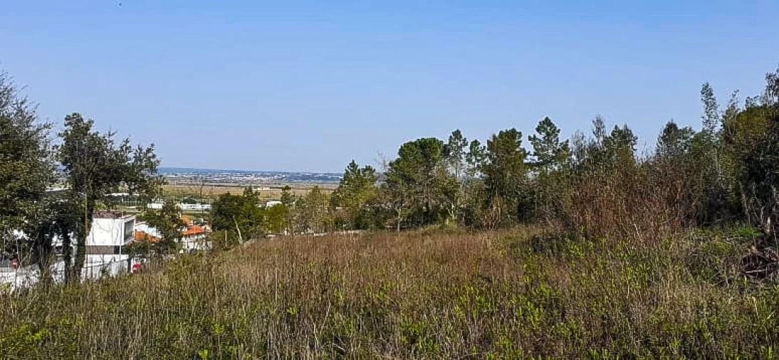 Terreno para Venda em Taveiro, Ameal e Arzila
