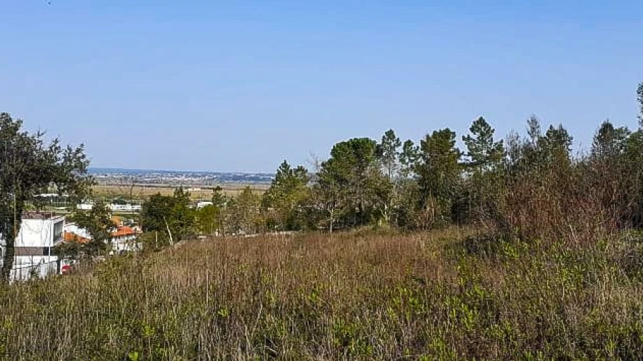 Terreno para Venda em Taveiro, Ameal e Arzila