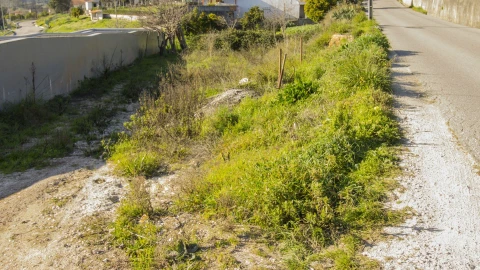 Terreno para Venda em Ceira