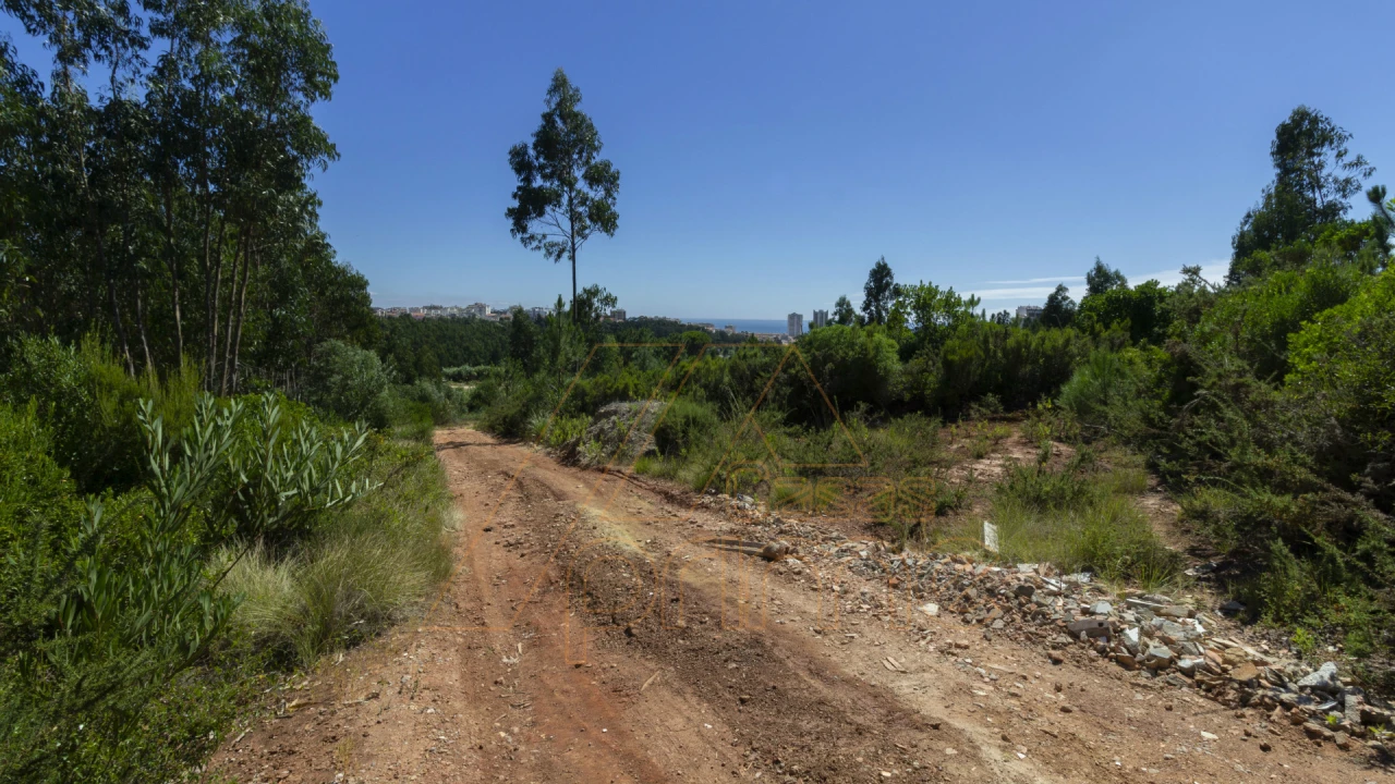 Terreno Misto para Venda em Buarcos Foto 10