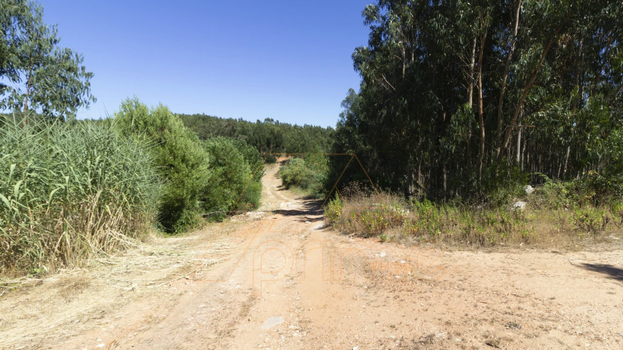 Terreno Misto para Venda em Buarcos Foto 9