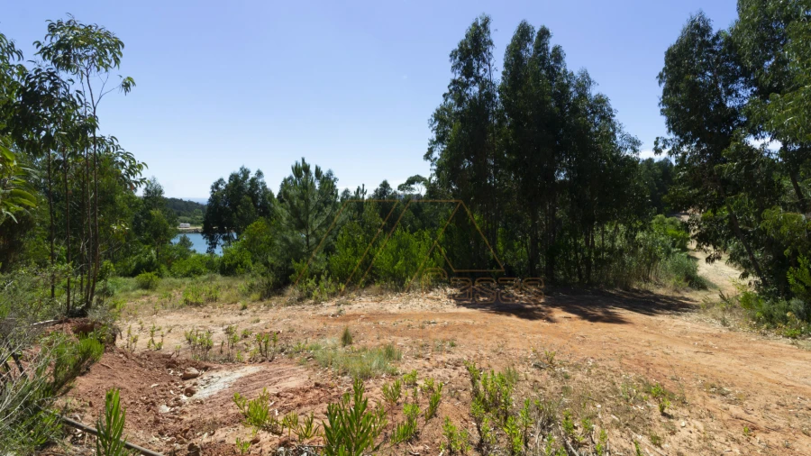 Terreno Misto para Venda em Buarcos Foto 8