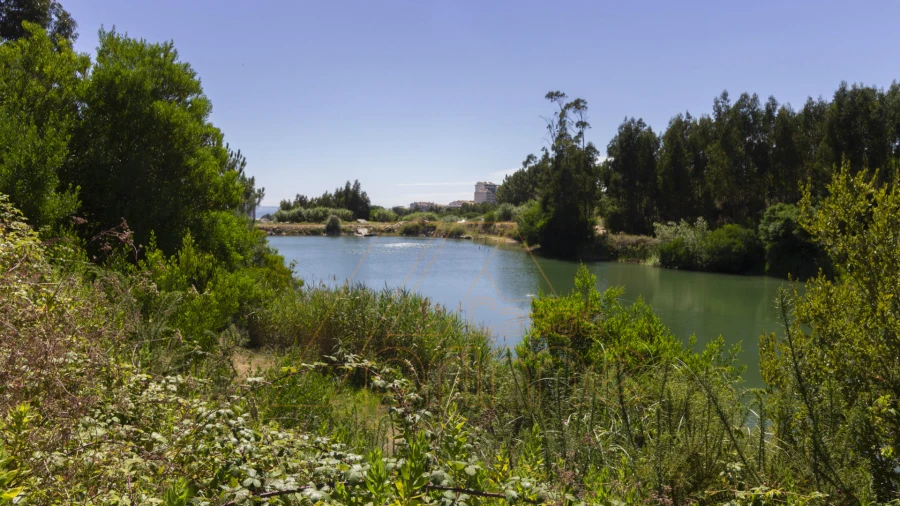 Terreno Misto para Venda em Buarcos