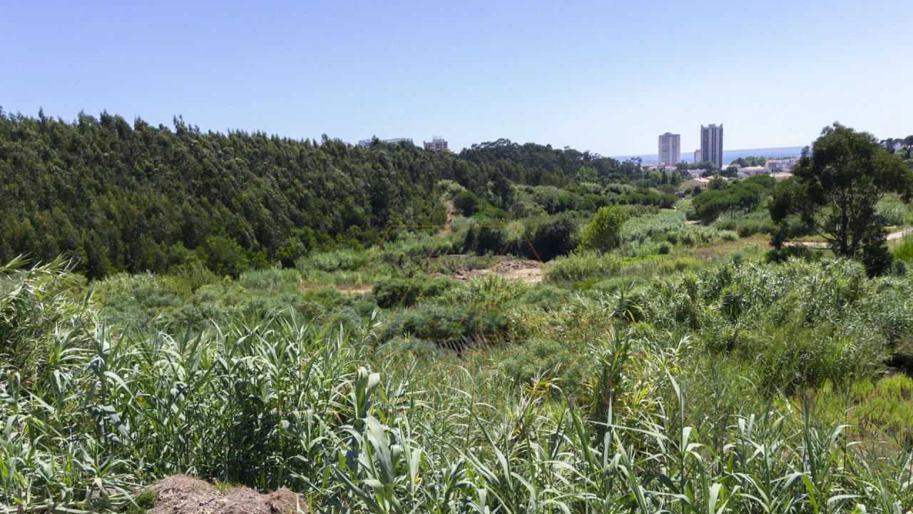 Terreno Misto para Venda em Buarcos Foto 6