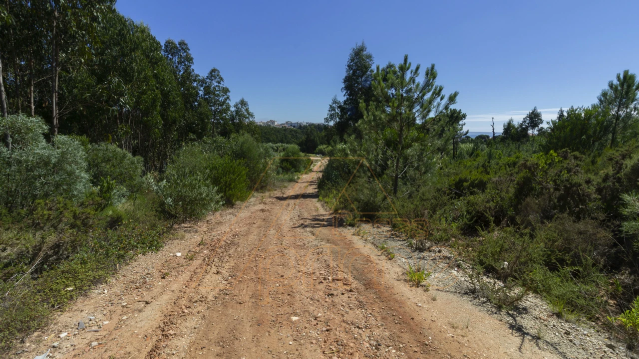 Terreno Misto para Venda em Buarcos Foto 11