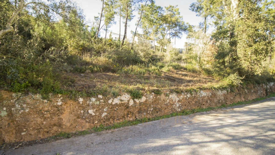 Terreno para Venda em Ceira Foto 2