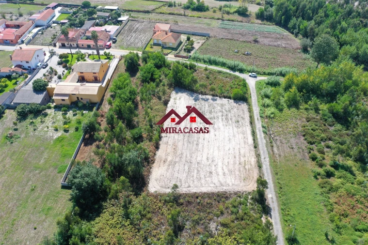 Terreno para Venda em Mira Foto 6